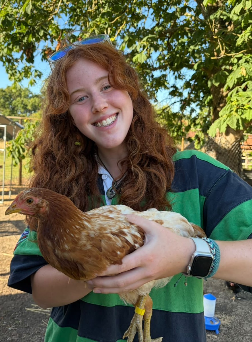 chicken and me