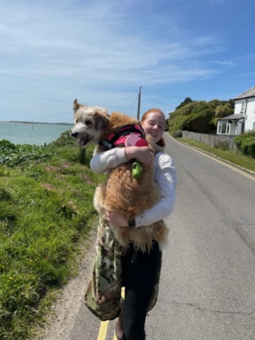dog walking mia